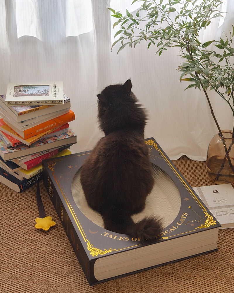Creative Spellbook Cat Scratching Bed