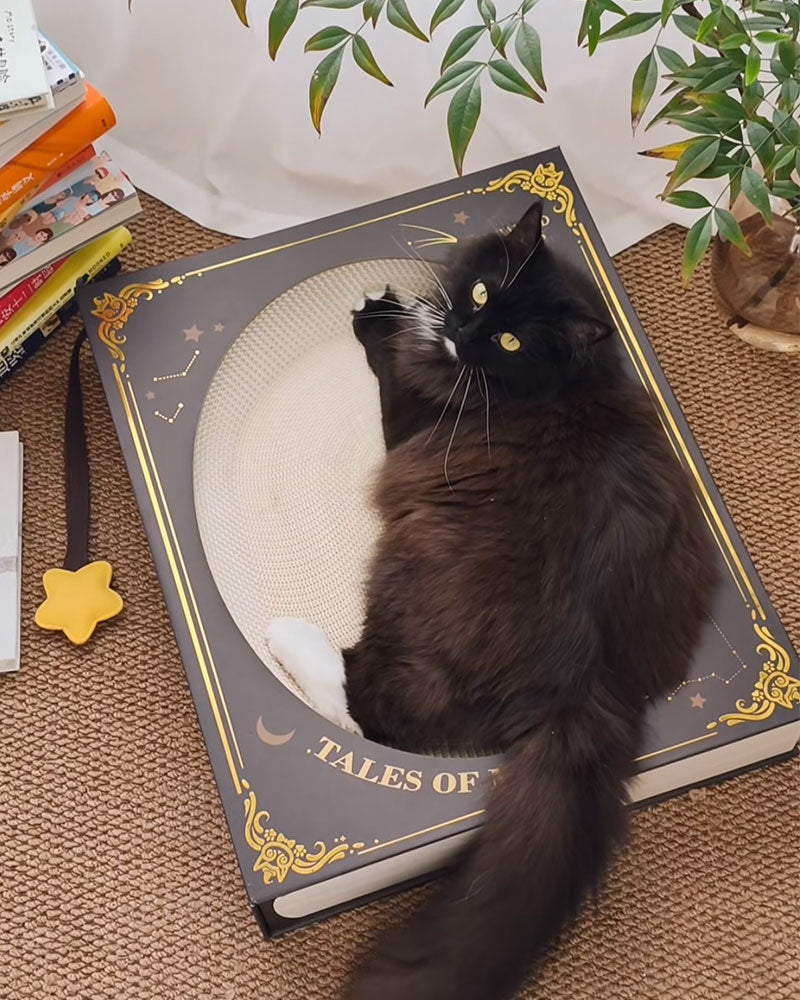 Creative Spellbook Cat Scratching Bed