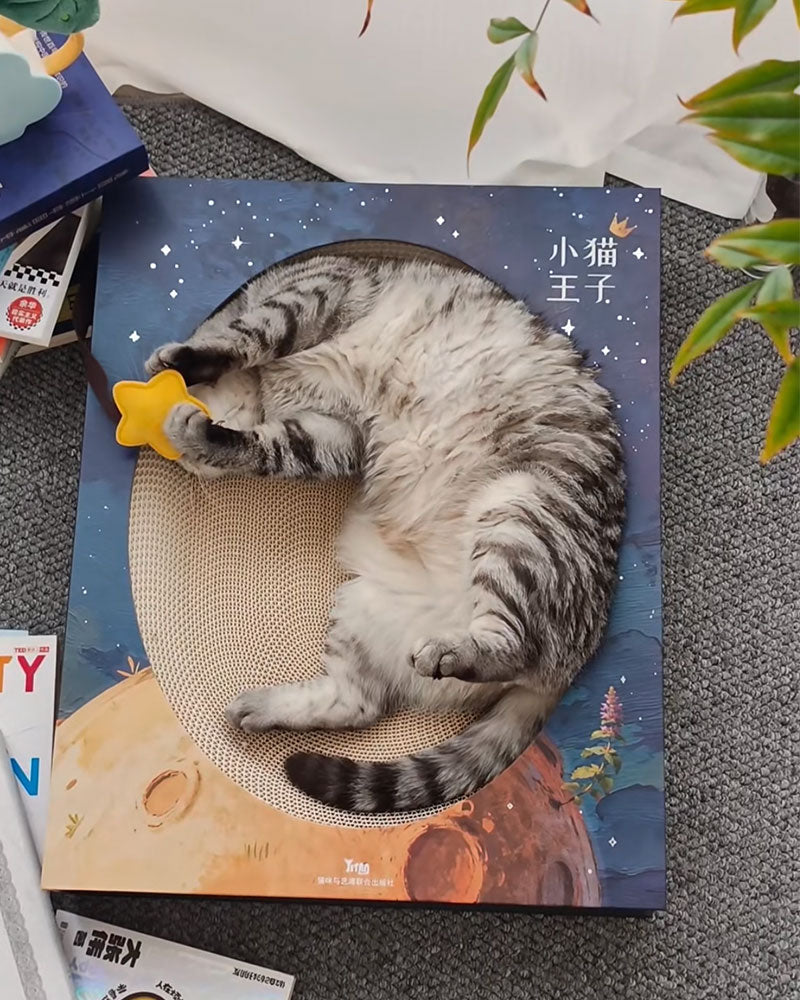 Creative Spellbook Cat Scratching Bed
