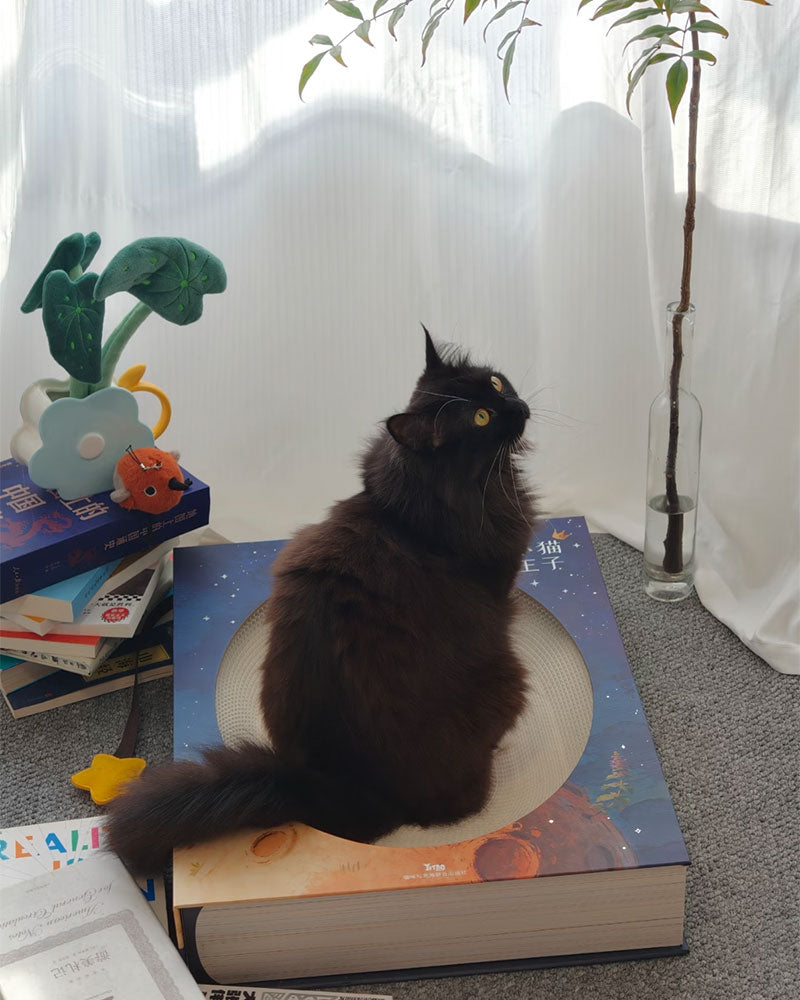 Creative Spellbook Cat Scratching Bed