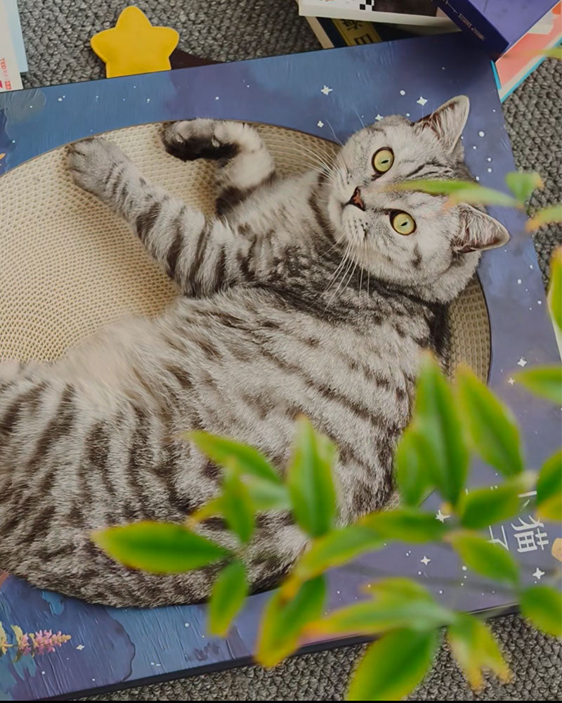 Creative Spellbook Cat Scratching Bed