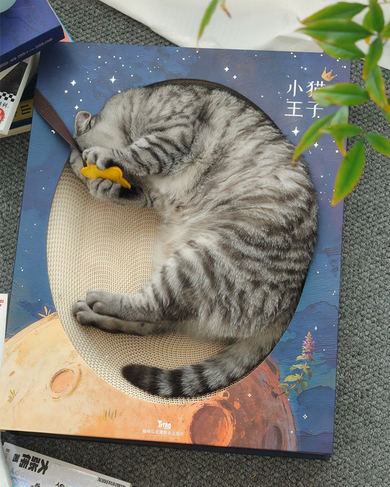 Creative Spellbook Cat Scratching Bed