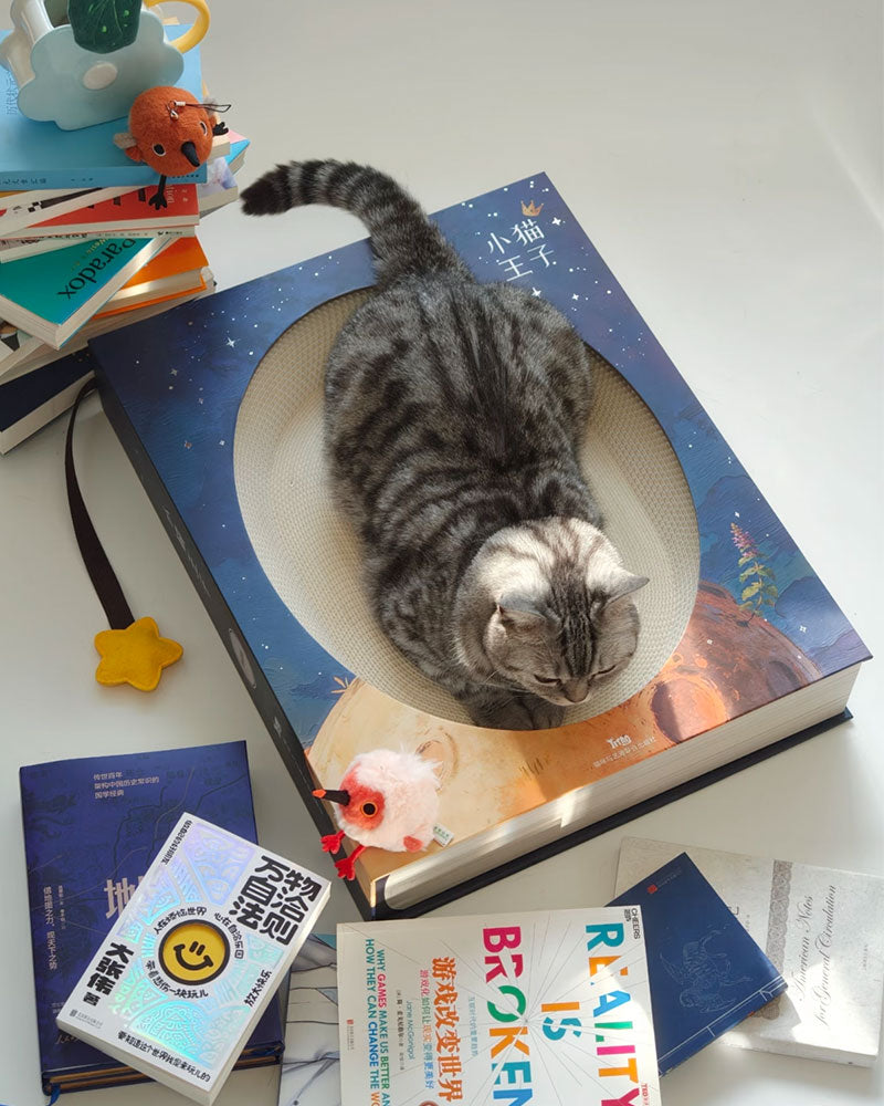 Creative Spellbook Cat Scratching Bed