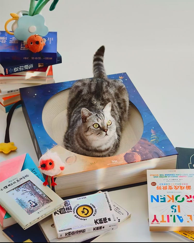 Creative Spellbook Cat Scratching Bed