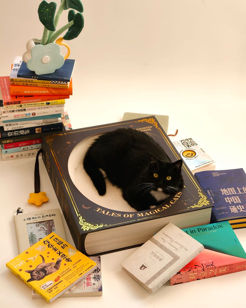 Creative Spellbook Cat Scratching Bed