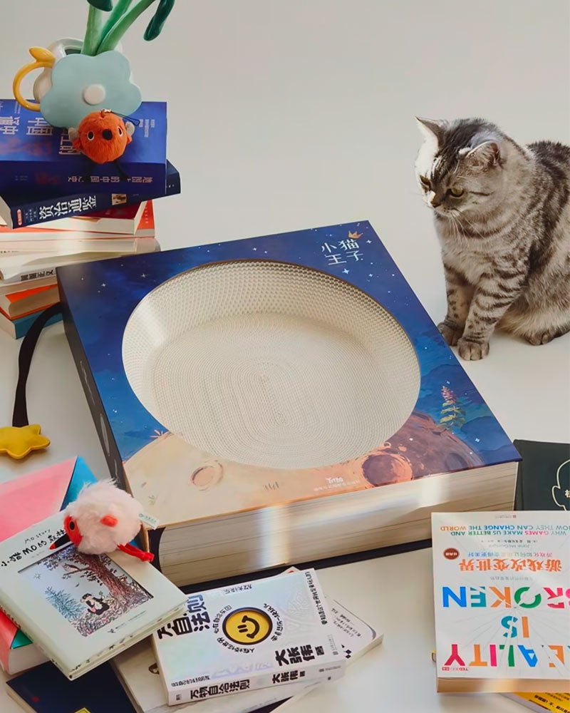 Creative Spellbook Cat Scratching Bed