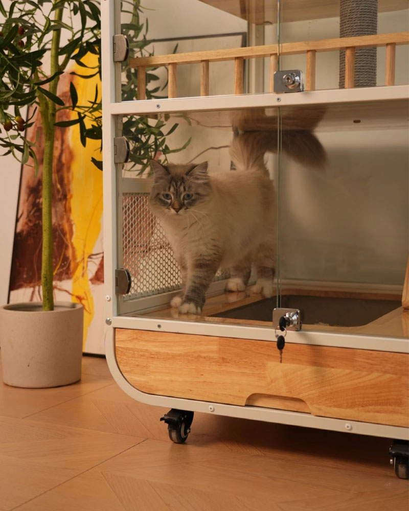 Deluxe Integrated Cat Villa with Panoramic View