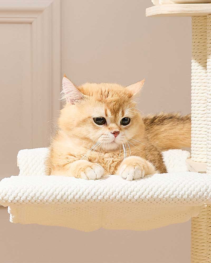 Elegant Cream Toned Cat Tree Furniture Medium