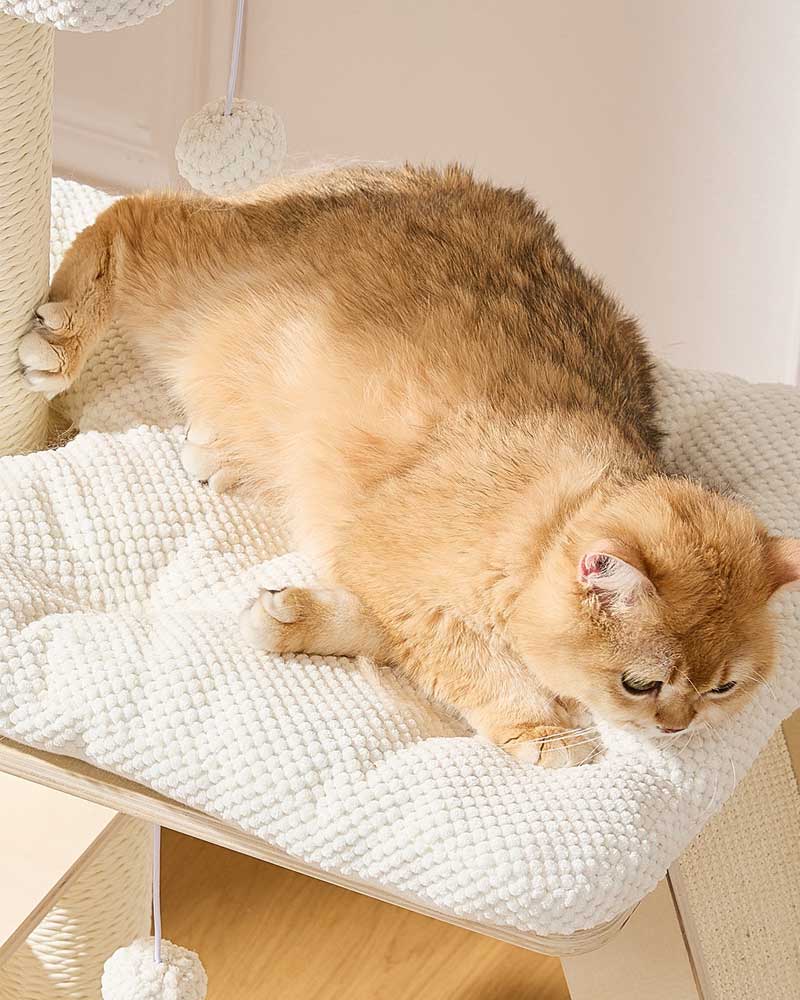 Elegant Cream Toned Cat Tree Furniture Medium