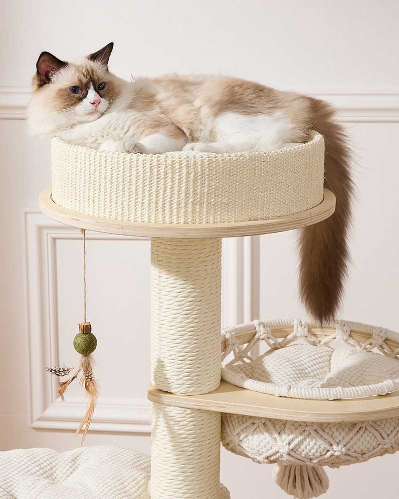 Elegant Cream Toned Cat Tree Furniture Small
