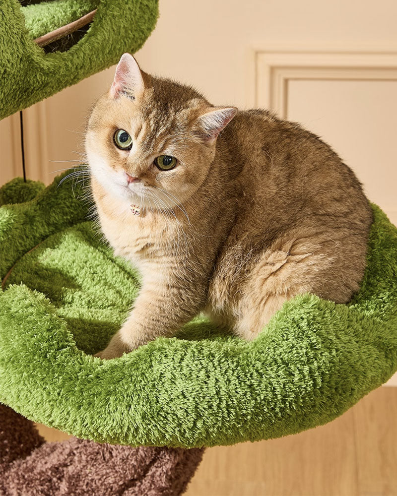 Evergreen Luxury Cat Tree for Large Cats