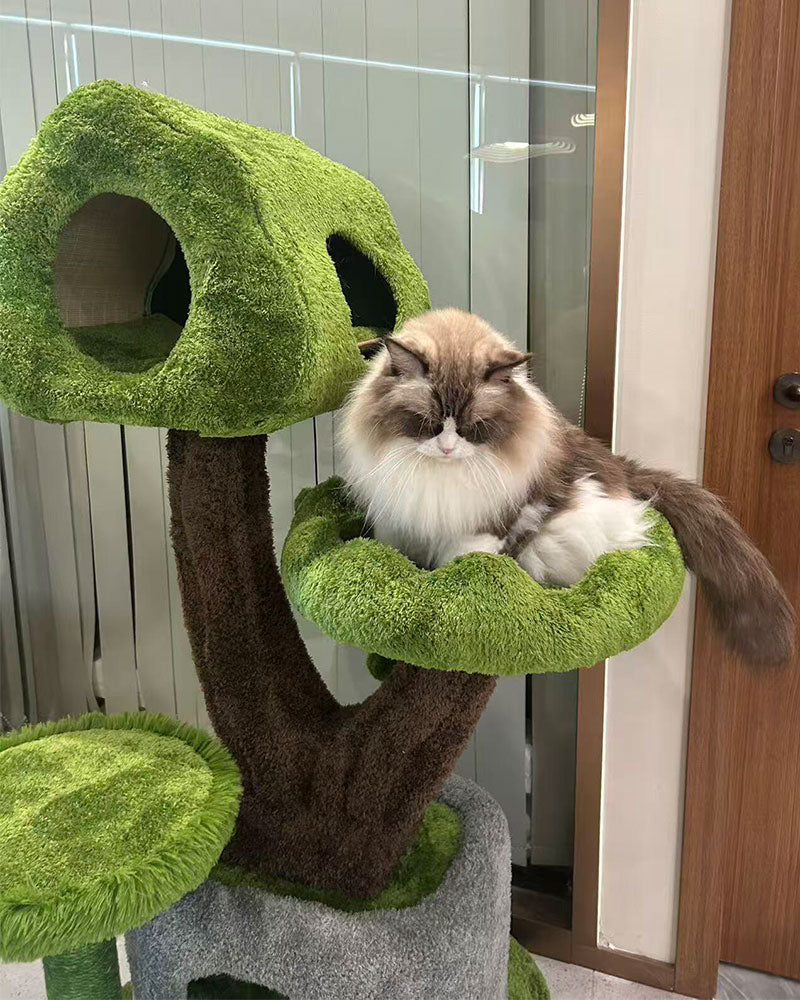 Evergreen Luxury Cat Tree for Large Cats