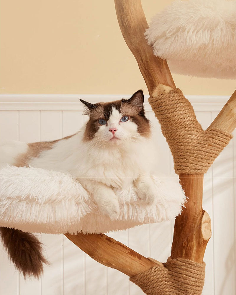 Fluffy Solid Wood Large Cat Tree