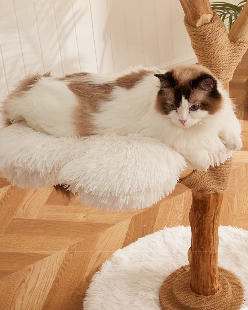 Fluffy Solid Wood Large Cat Tree