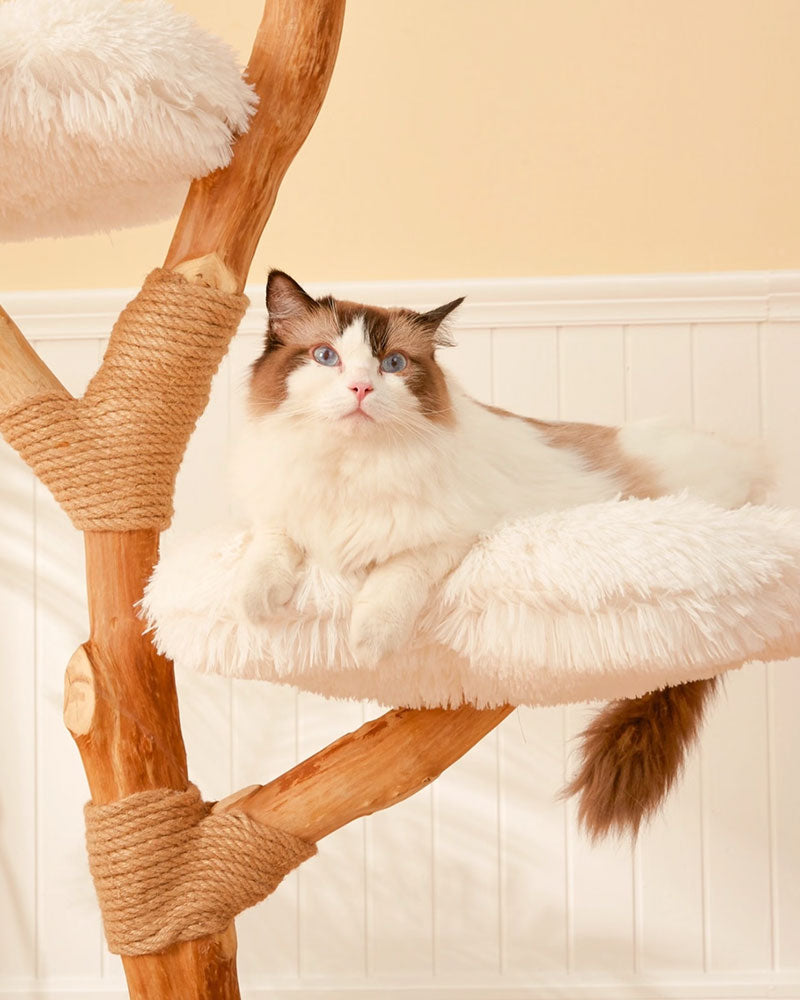 Fluffy Solid Wood Large Cat Tree