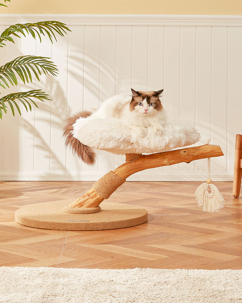 Fluffy Solid Wood Small Cat Tree