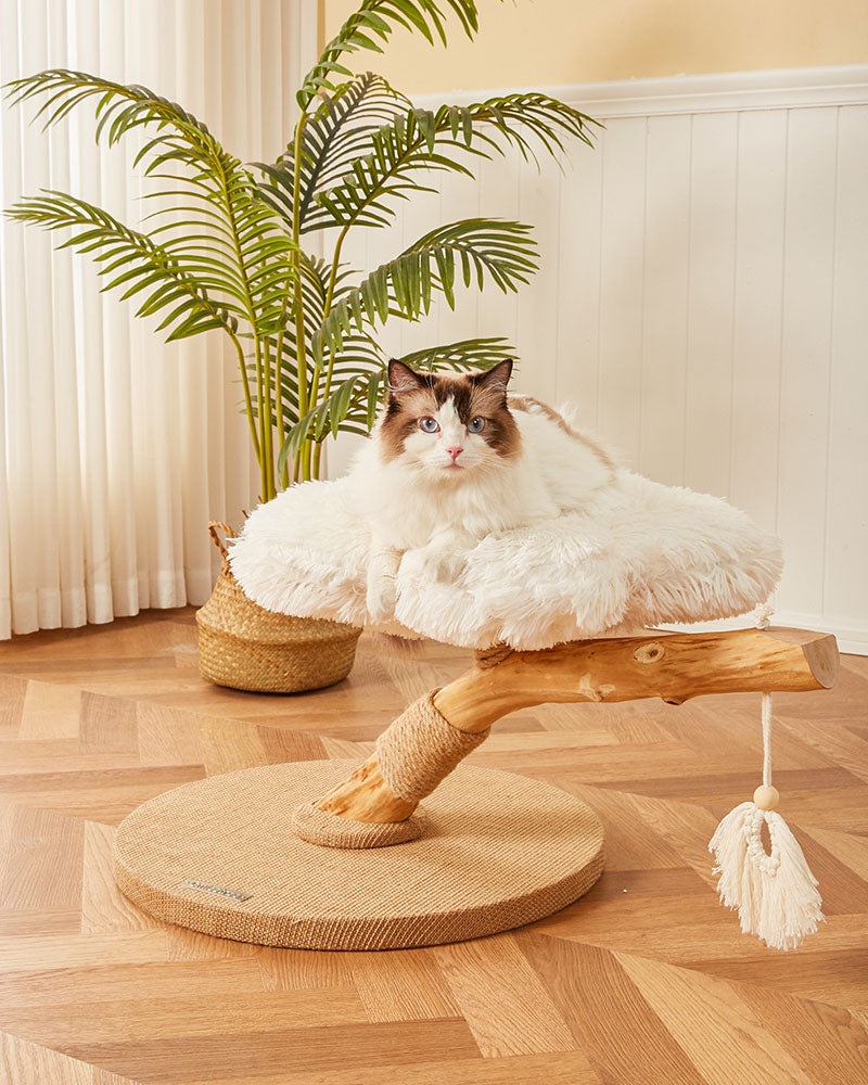 Fluffy Solid Wood Small Cat Tree