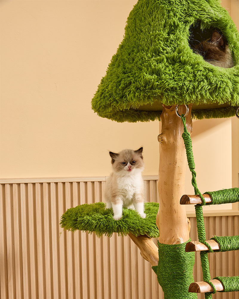 Wooden Cloud Stepper Cat Tree Tower