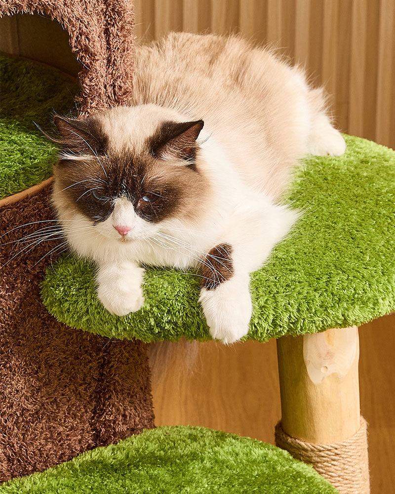 Jungle Cave Retreat Cat Tree Pro