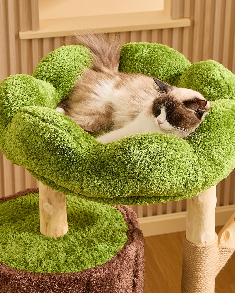 Jungle Cave Retreat Cat Tree