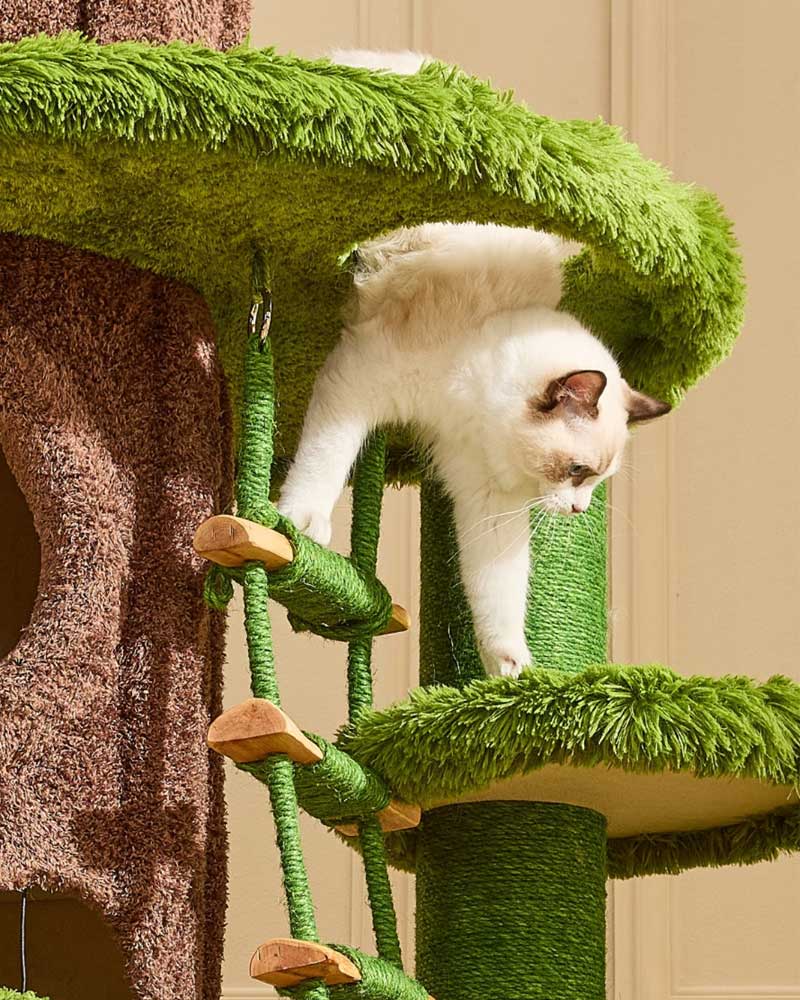 Jungle Kingdom Giant Cat Tree