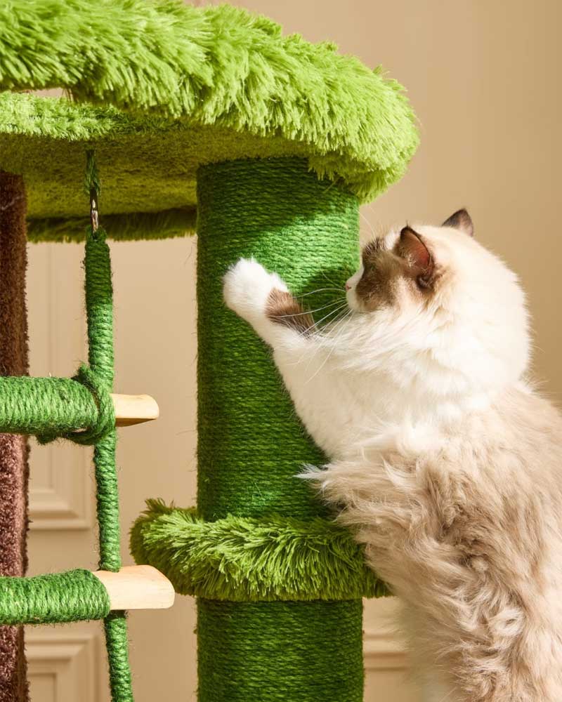 Jungle Kingdom Giant Cat Tree