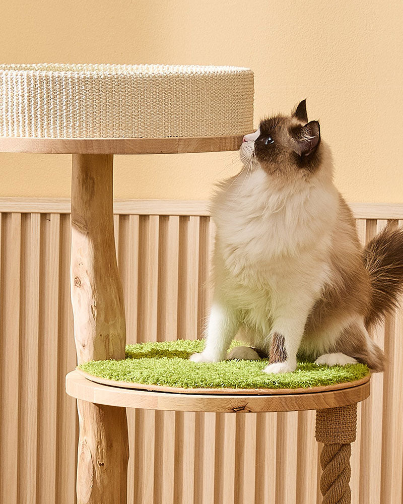 Jungle Wood Cat Tree PRO