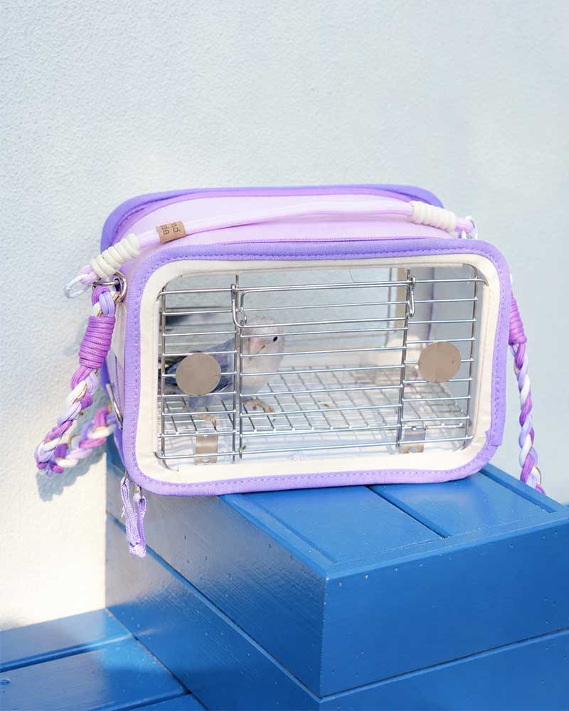 Lightweight Outdoor Travel Carrier for Small Birds
