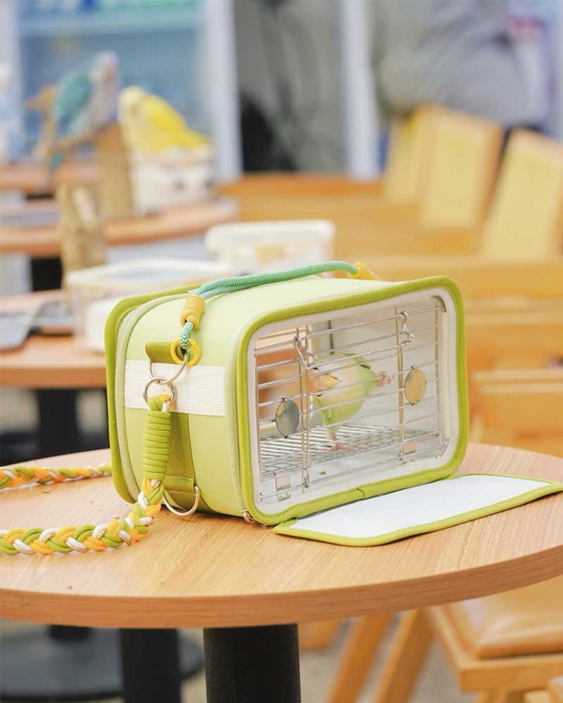 Lightweight Outdoor Travel Carrier for Small Birds