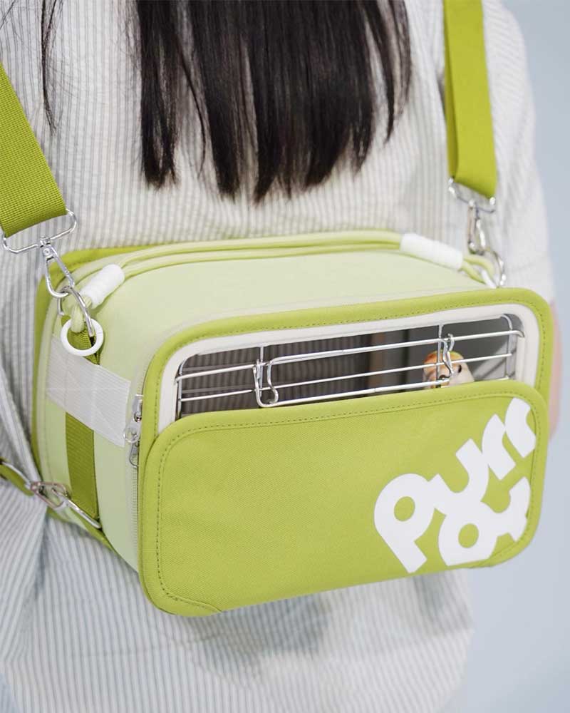 Lightweight Outdoor Travel Carrier for Small Birds
