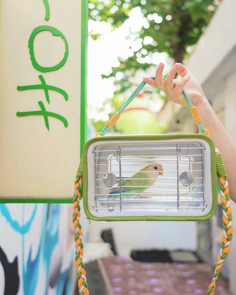 Lightweight Outdoor Travel Carrier for Small Birds