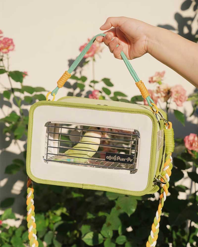 Lightweight Outdoor Travel Carrier for Small Birds