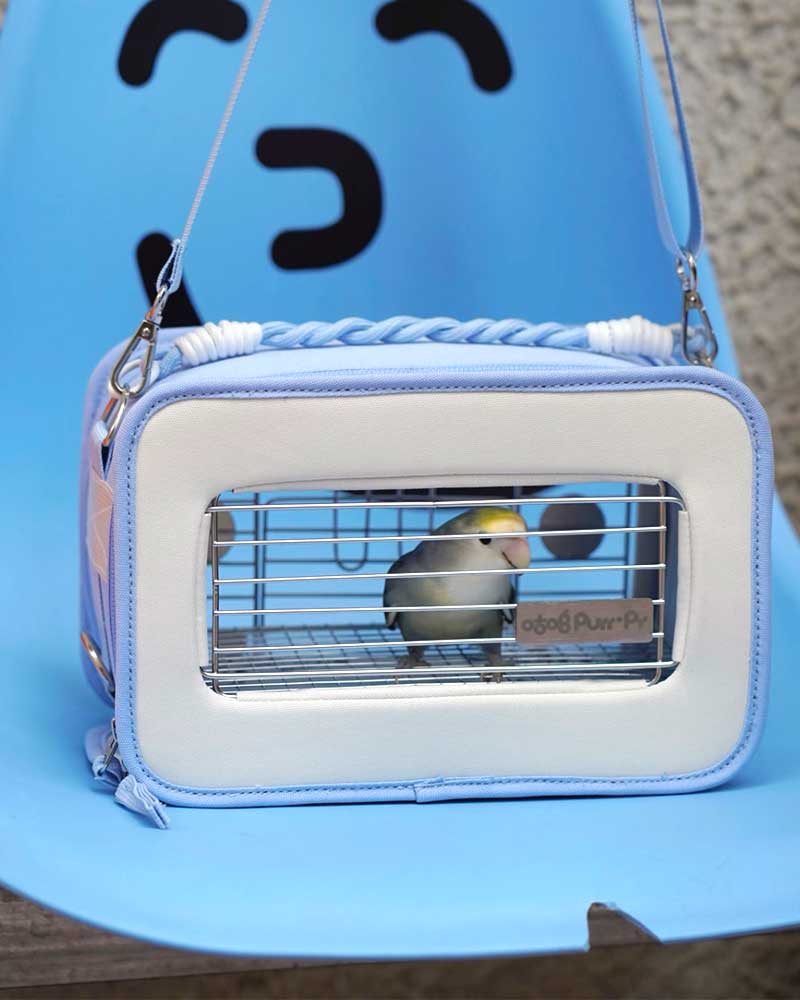 Lightweight Outdoor Travel Carrier for Small Birds