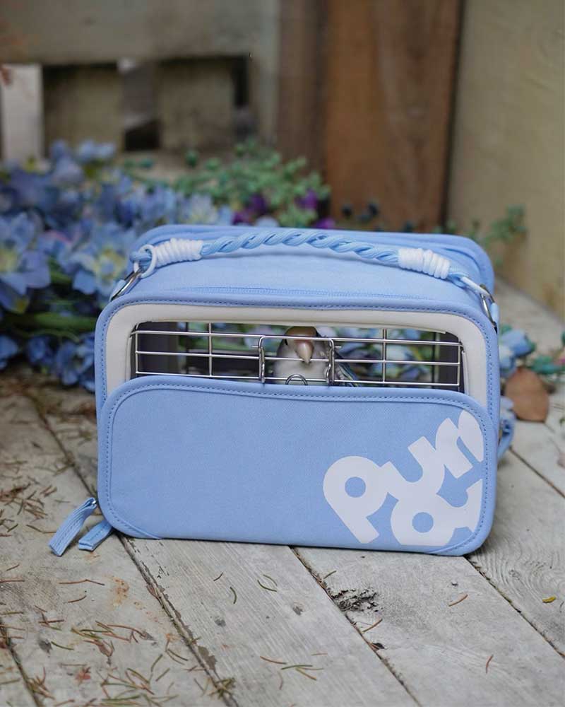 Lightweight Outdoor Travel Carrier for Small Birds
