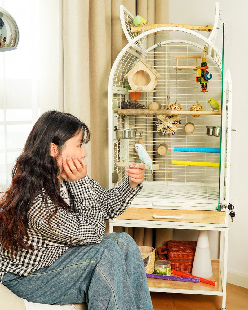 Luxury Indoor Bird Cage for Parrots with Skylight