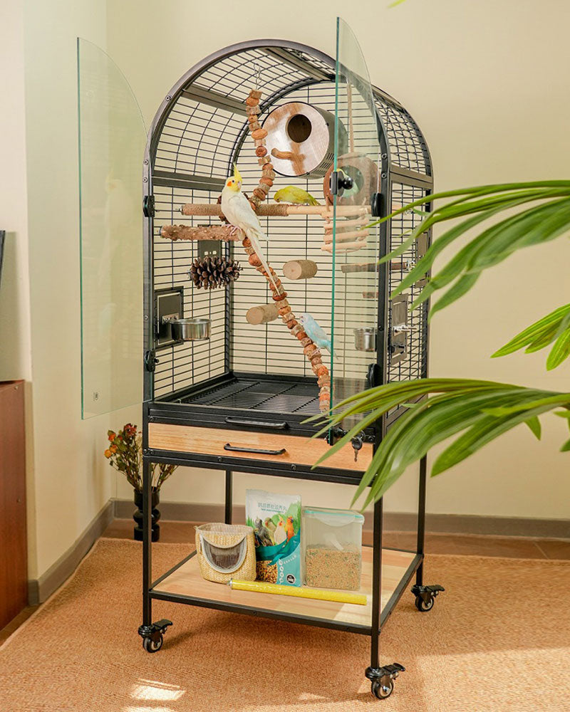 Luxury Indoor Bird Cage for Parrots with Skylight