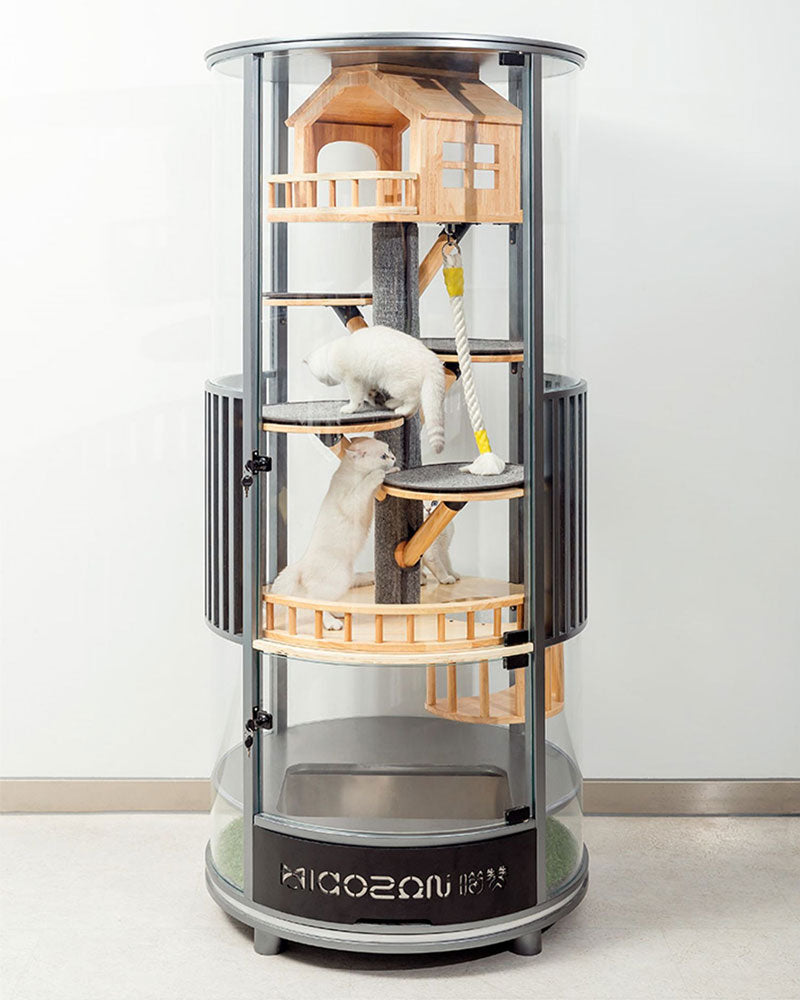 Luxury Panoramic Glass Cat Villa