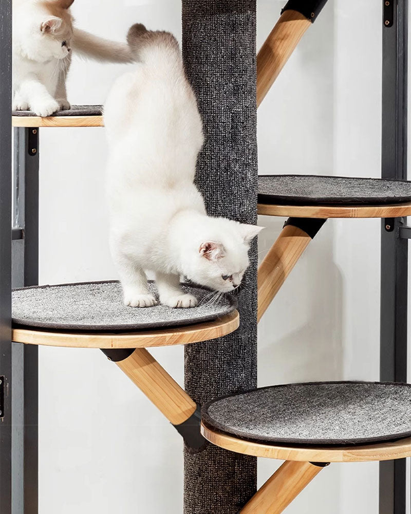 Luxury Panoramic Glass Cat Villa