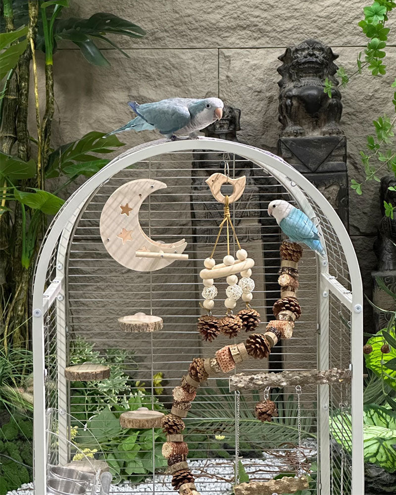 Luxury Small Stainless Steel Bird Cage