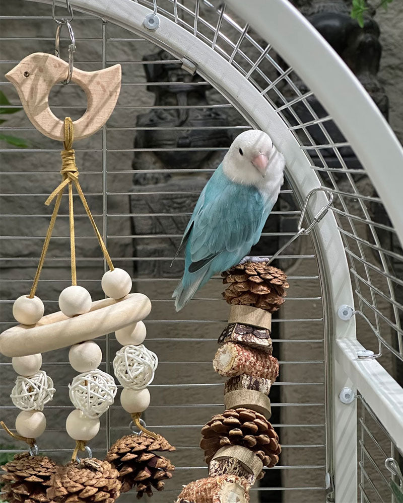 Luxury Small Stainless Steel Bird Cage
