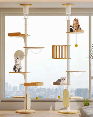 Modern Iron Frame Cat Tree Floor to Ceiling