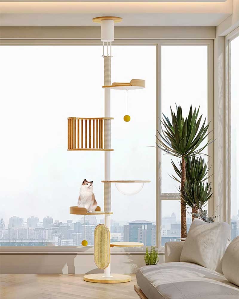 Modern Iron Frame Cat Tree Floor to Ceiling