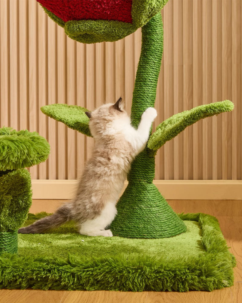 Monster Bloom Fun Climbing Tree for Cats