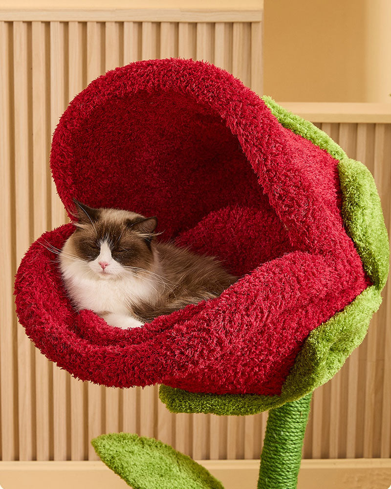Monster Bloom Fun Climbing Tree for Cats