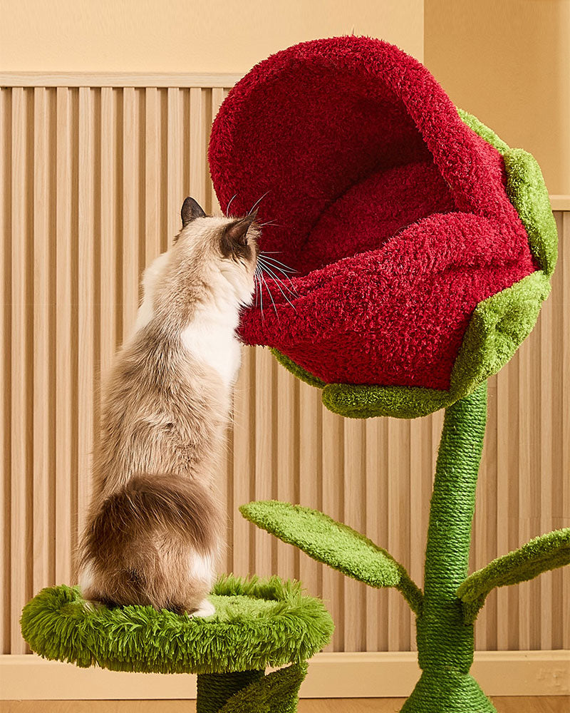 Monster Bloom Fun Climbing Tree for Cats