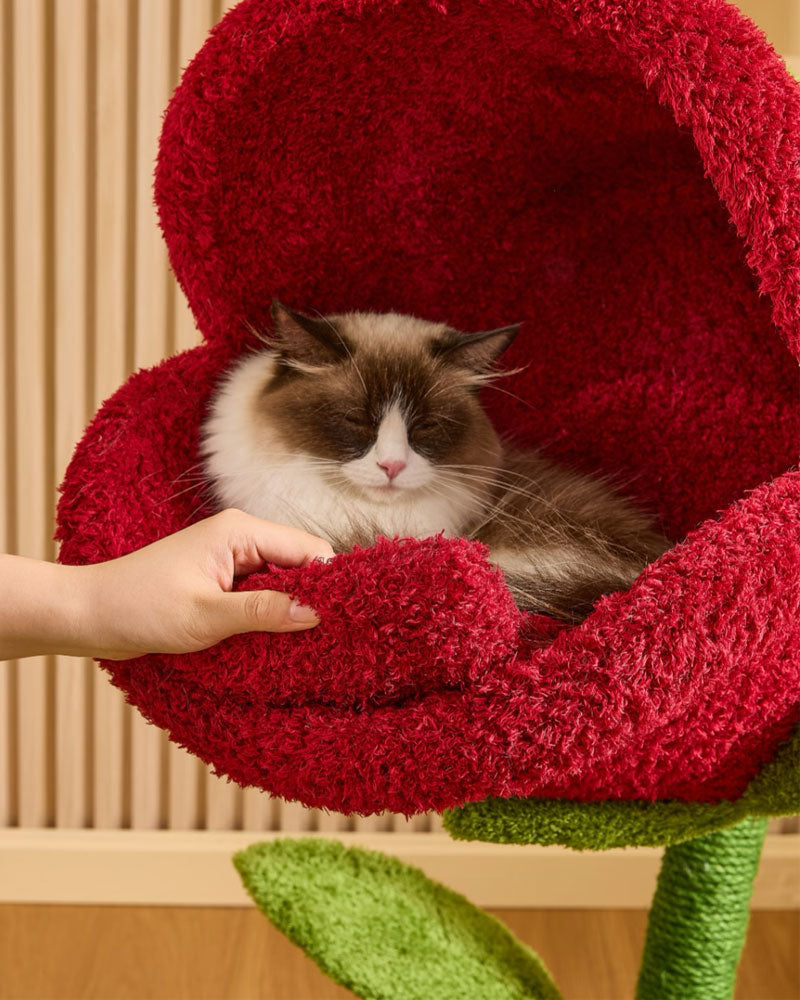 Monster Bloom Fun Climbing Tree for Cats