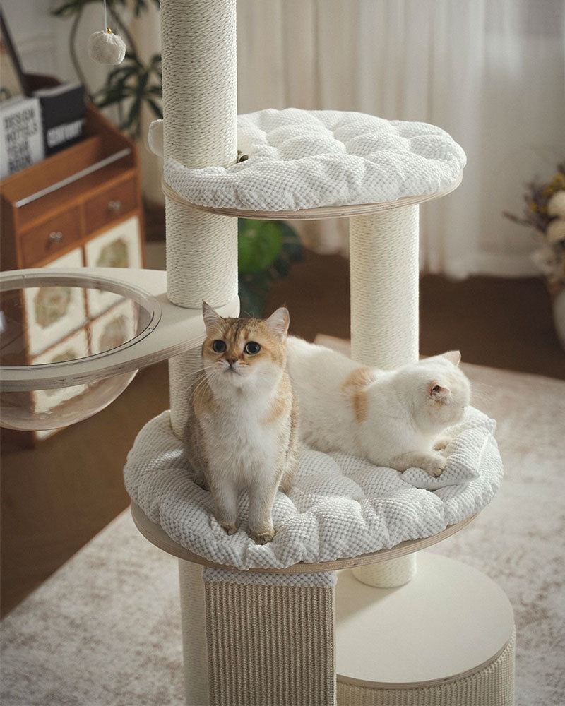 Mousse Modern Large Cat Tree with Scratching Posts