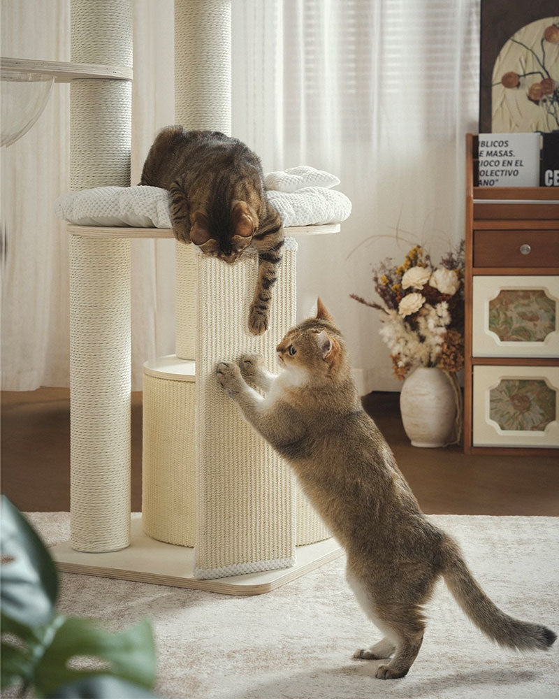 Mousse Modern Large Cat Tree with Scratching Posts