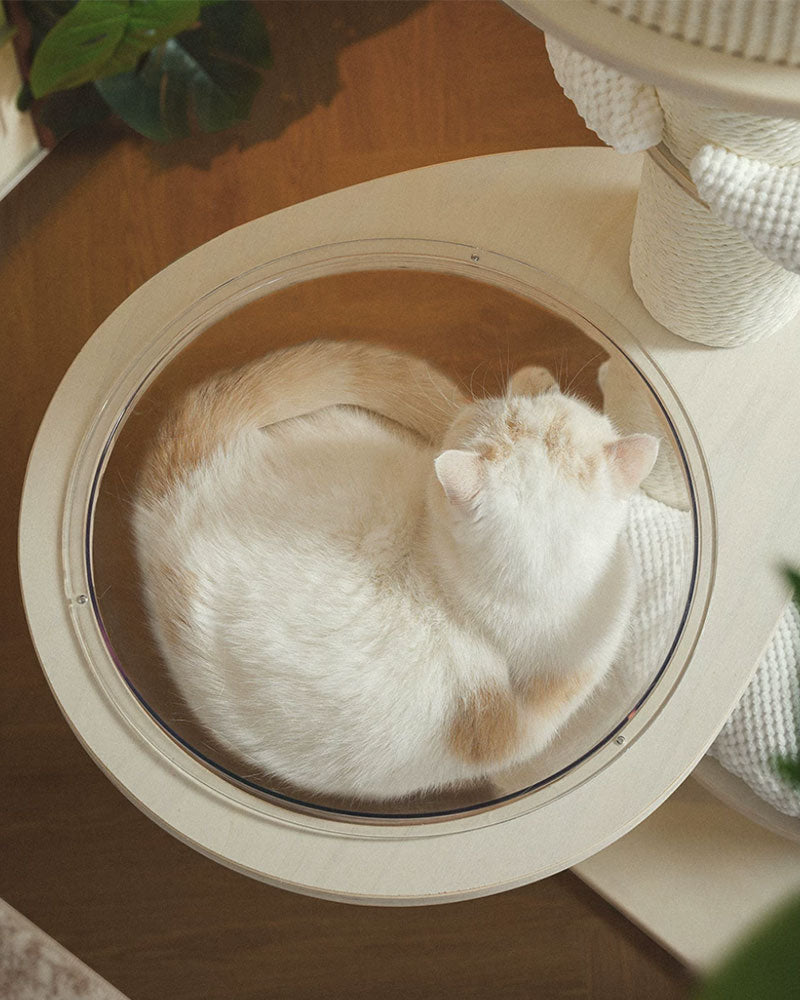 Mousse Modern Large Cat Tree with Scratching Posts