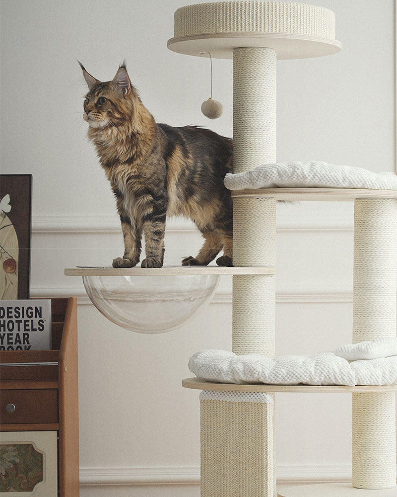 Mousse Modern Large Cat Tree with Scratching Posts